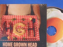 Image for DREW and The HgH Band