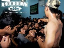 knockdown YKHC