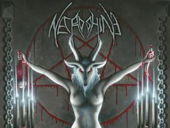 Necroshine