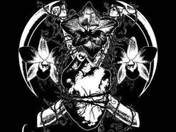 Image for Crimson Orchid