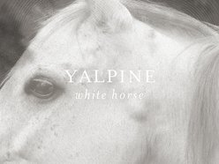 Image for Yalpine