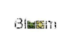 ReverbNation profile picture for @bloom