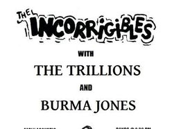 Image for The Incorrigibles
