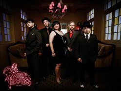 Image for The Sugar Thieves