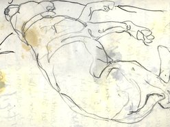 Image for Harvey Sue