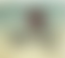 1307467029 to behold front cover