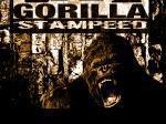 Image for Gorilla Stampeed