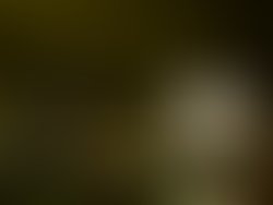 1307513103 mke