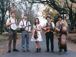 Image for Wainwright Brothers