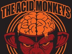 Image for The ACID Monkeys