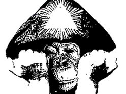 Image for Dub barn Collective