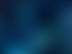 1377413322 artist 1635921 1377413282