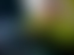 1386884676 migtables 1265508152