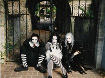 THEOLYNN/THE WARDROBE CATHEDRAL