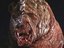 Diseased Beast