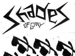 Image for Shades of Gray