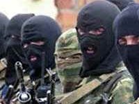 Image for Hermaphrodite Jihad