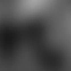 1372434611 184050538427529 664289822 n