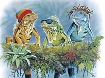 Mark Doty & The Cause