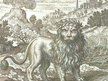 Green Lion