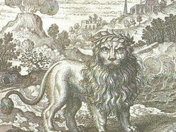 Image for Green Lion