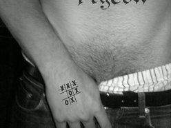 ReverbNation profile picture for @pigeon