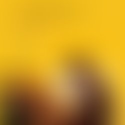 1357793193 pan smeadowcoverfullsize