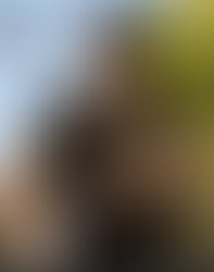 Eb73a615 c15c 4f27 8bed ac1b484d0744