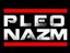 Pleonazm