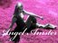 Angel Amster