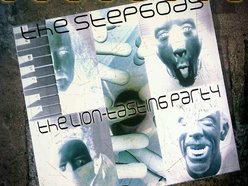 Image for The Stepgods