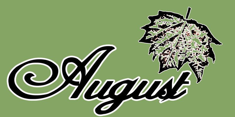 ReverbNation profile picture for @august