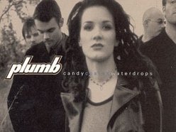 Image for Plumb