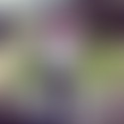 Artist 1651235 1492392635