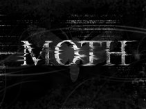 Moth