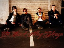 The Back Alley Strays