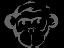 Blue Powda Monkeys