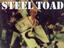 STEEL TOAD 4trk