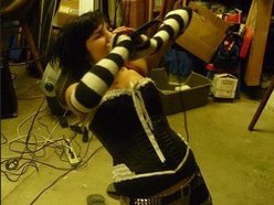 Image for The Crunchees