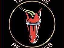 Techorse