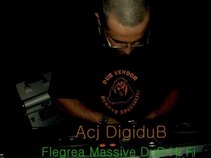 ACJ DIGIDUB