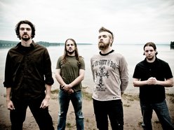 Image for WOODS OF YPRES