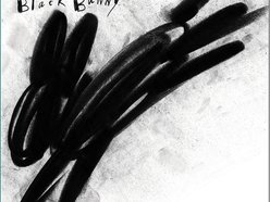 BlackBunny