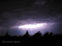 Nicholas Christopher Howard