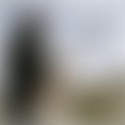 Bm cohfinalcover 1283179191