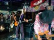 The Colourflies