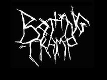Rotting Tramp