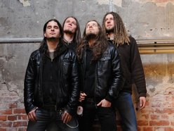 Image for STONEHEAD