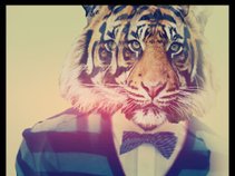 King Dj Tiger