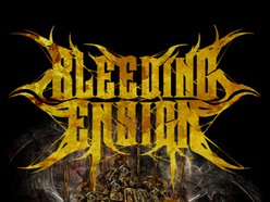 Image for Bleeding Ensign